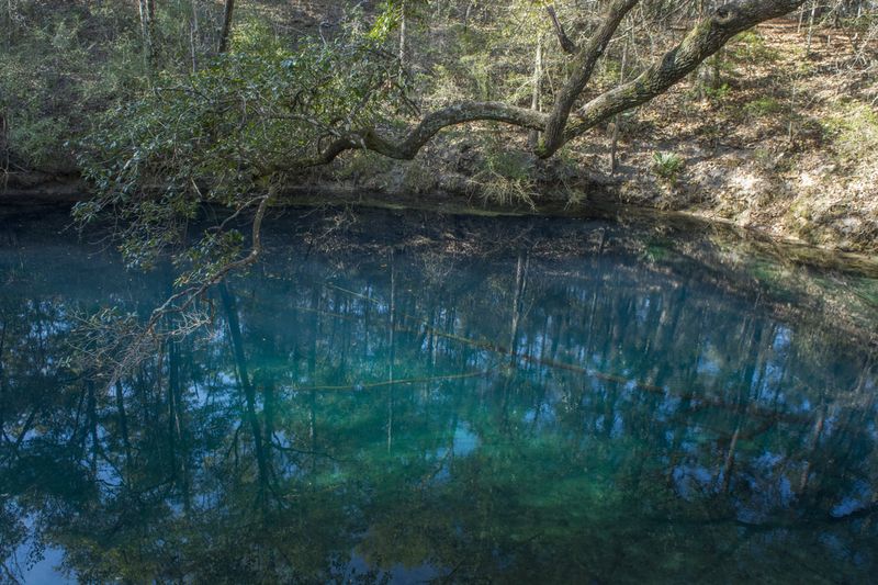 Leon Sinks Geological Area, Tallahassee, FL