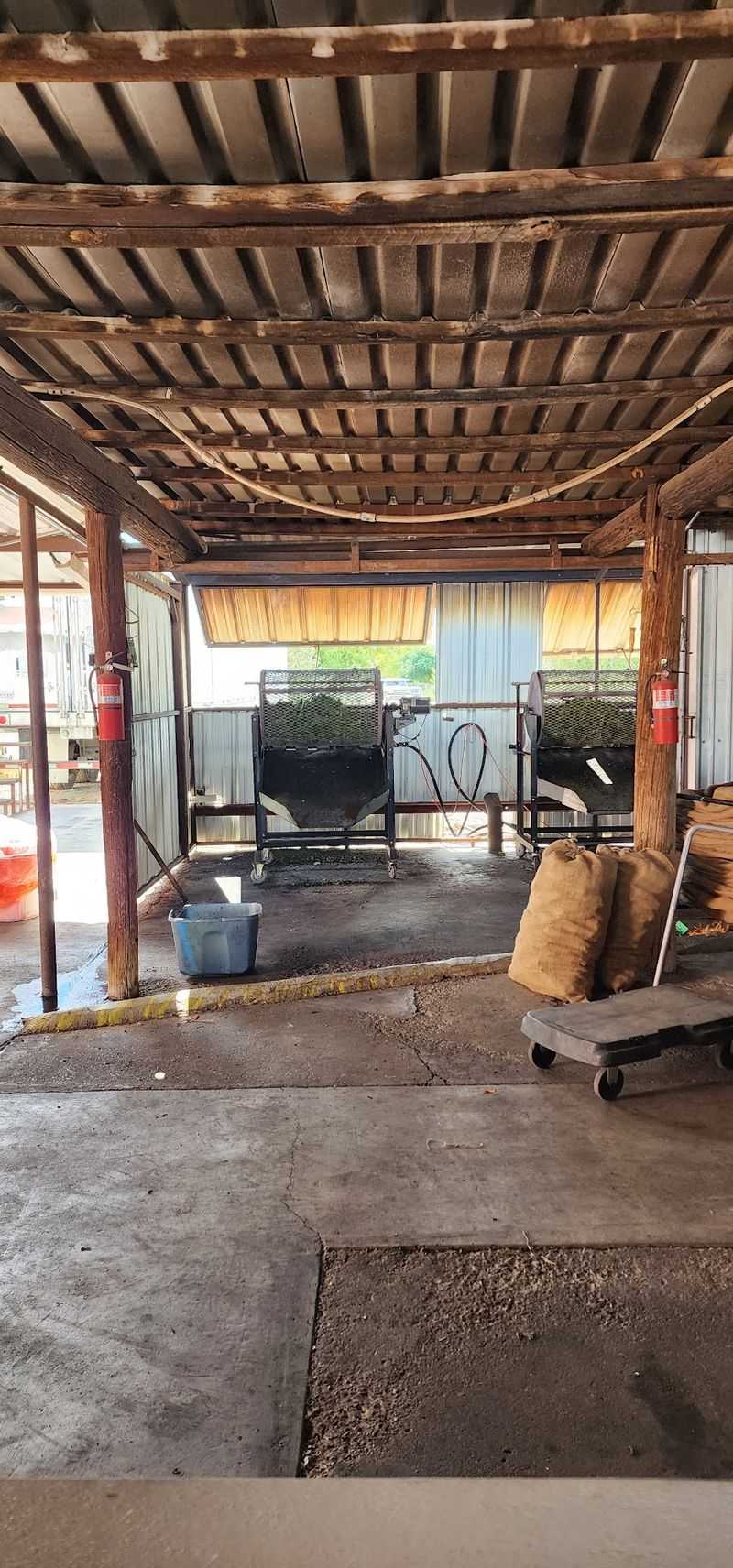 The Roaster Drums of Harvest Season