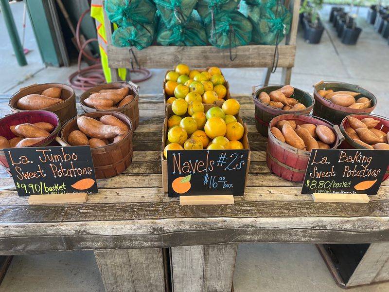 A Bounty Of Fresh Vegetables And Seasonal Produce