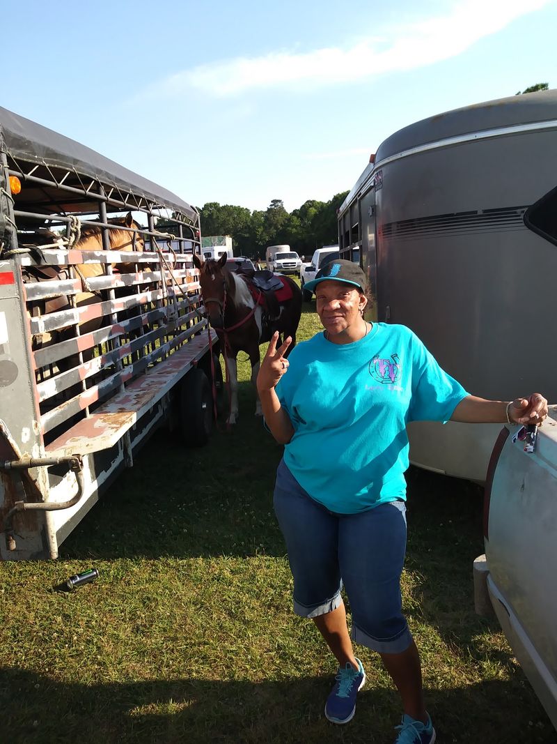 Look For The Cattle Drive