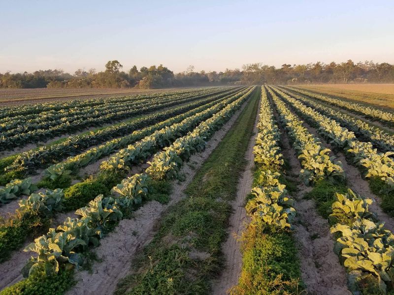A Family Name Rooted In Plaquemines Parish