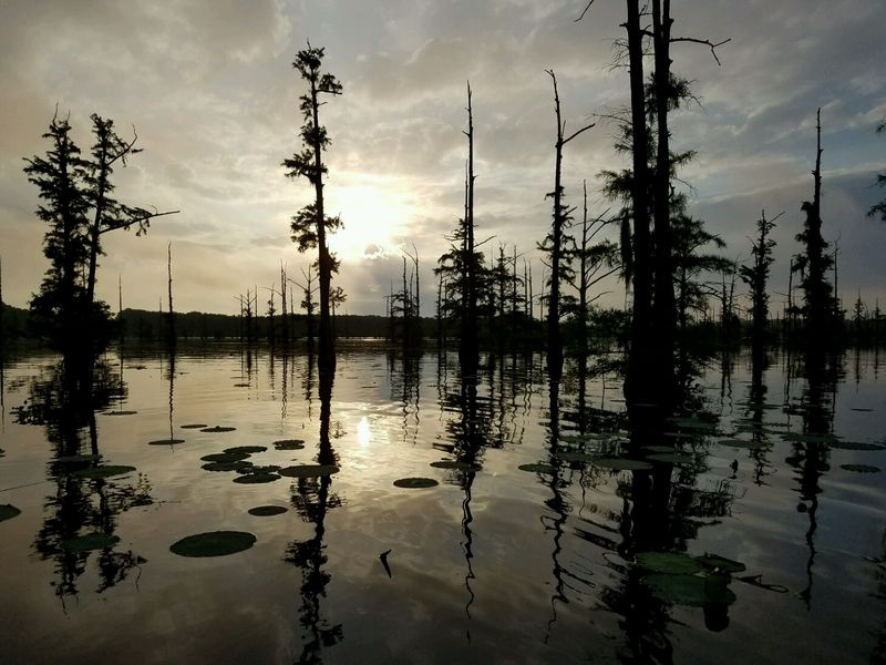 Canoe Trails And Time On The Water