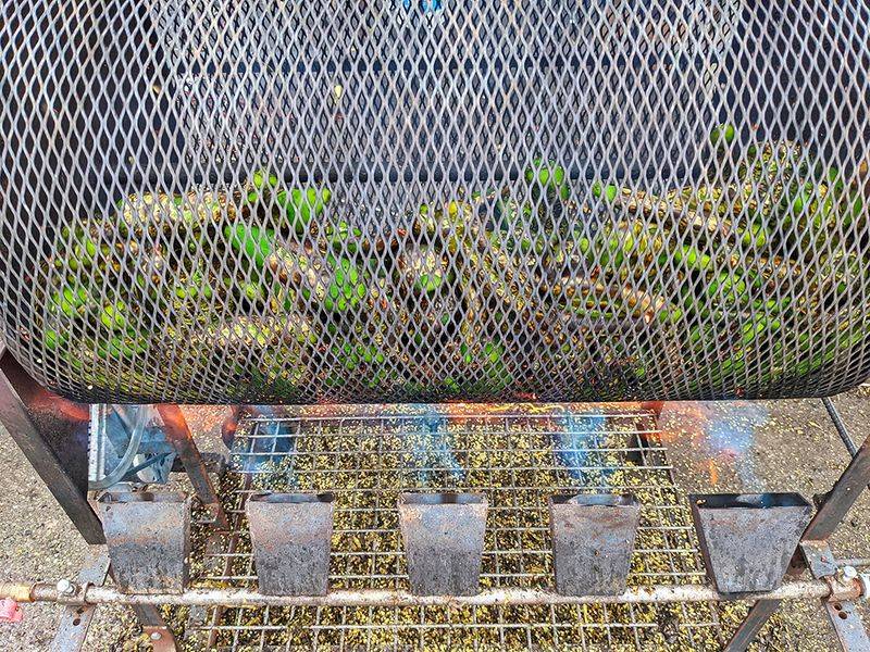 Green Chile Roasted While You Wait