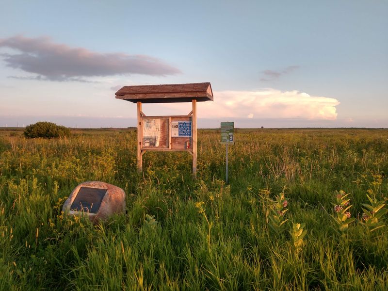 Hayden Prairie State Preserve, Lime Springs