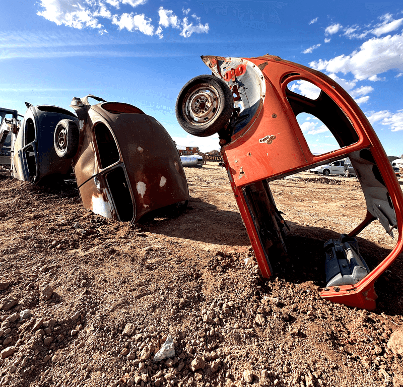The Original Bugs Moved To Amarillo In 2024