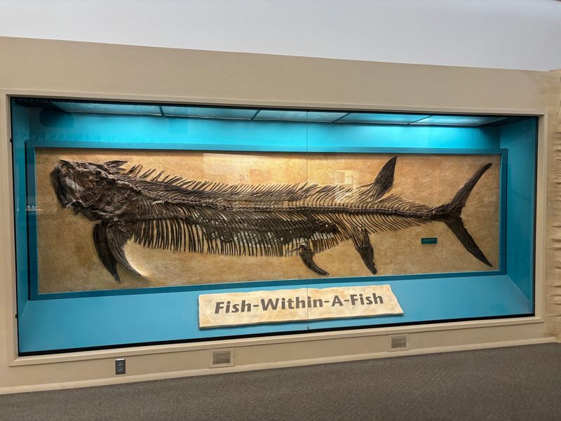 Sternberg Museum Of Natural History, Hays, Kansas