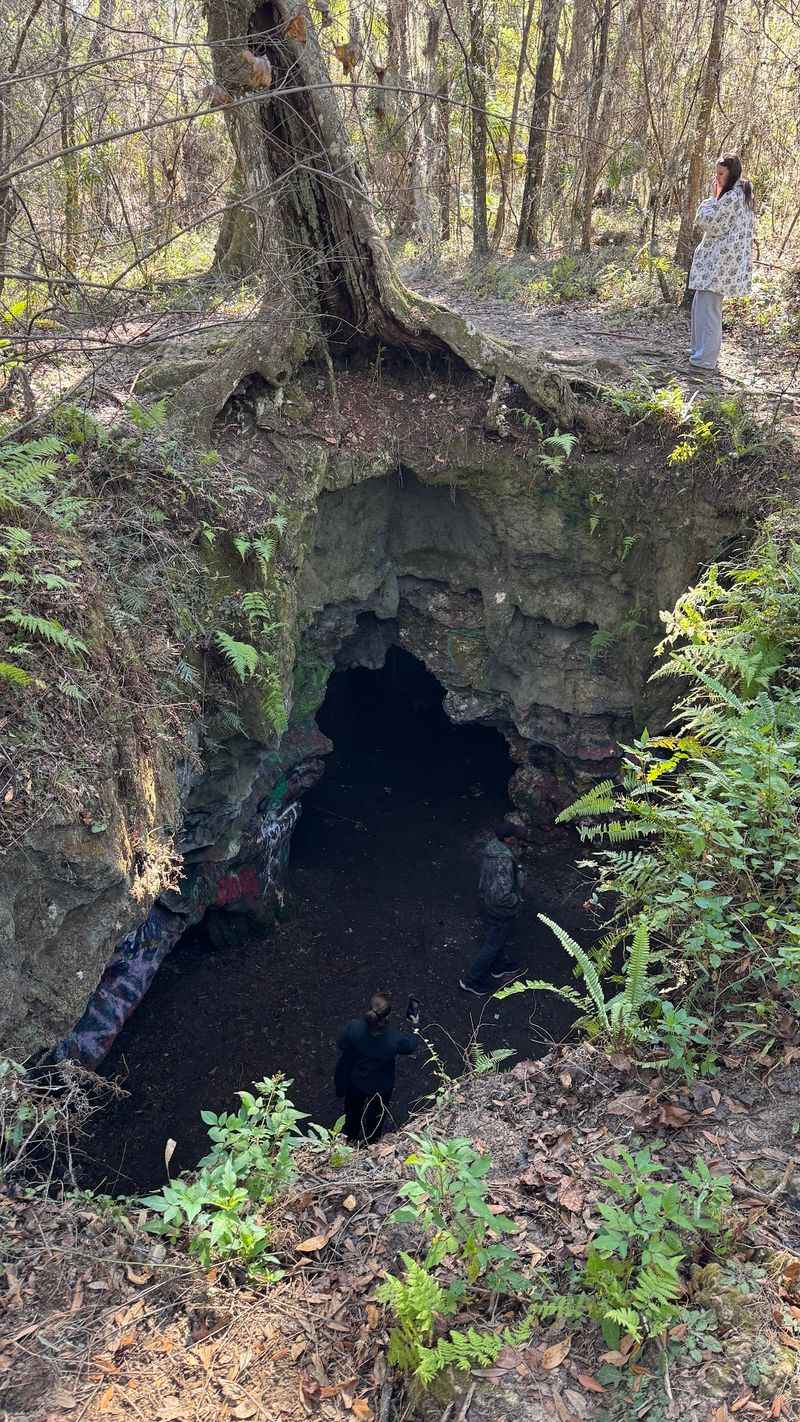 Dames Cave, Lecanto, FL