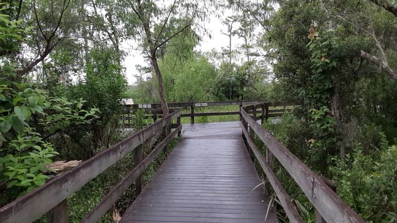 Jean Lafitte National Historical Park and Preserve