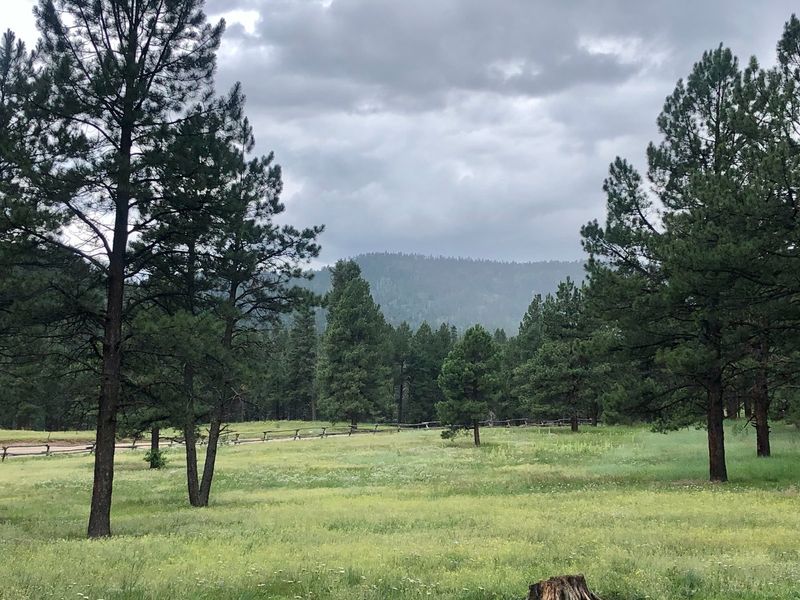 Fall Mornings Come Alive With Elk Calls