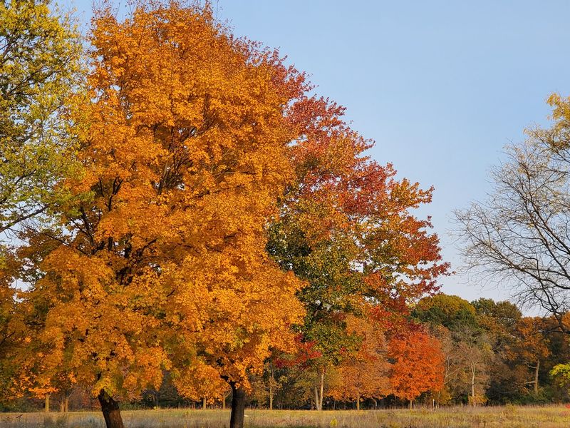 Perrot State Park Trades The Car For Bluff Trails
