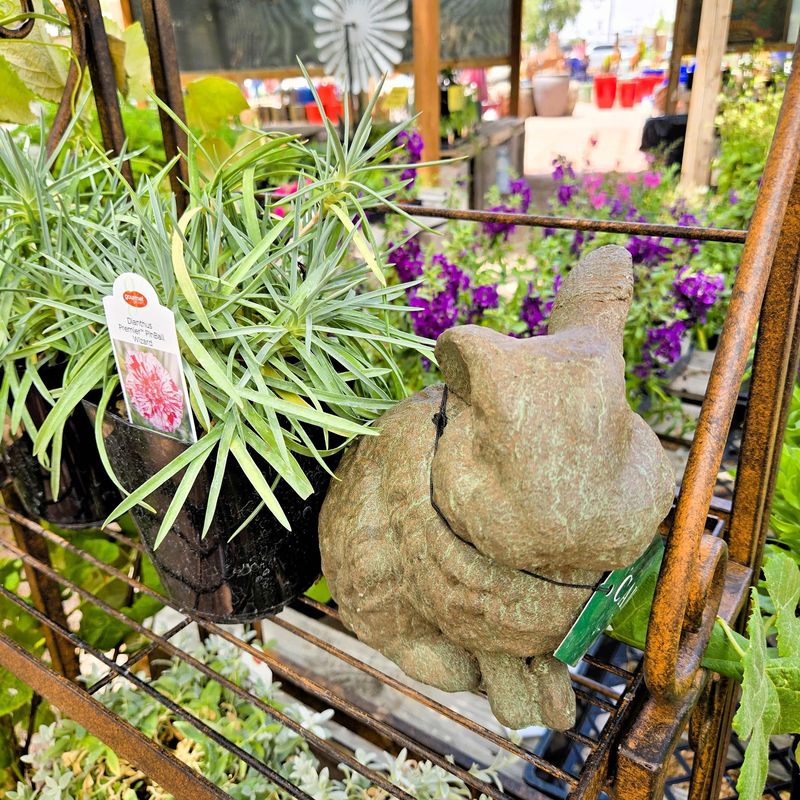 Greenery Breaks Up The Displays