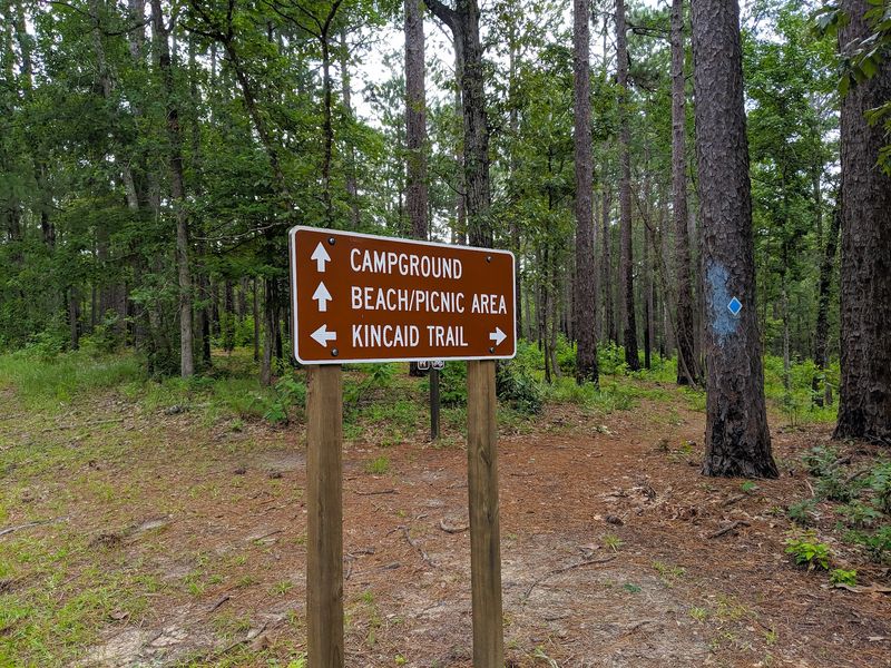 Getting There Without Getting Lost