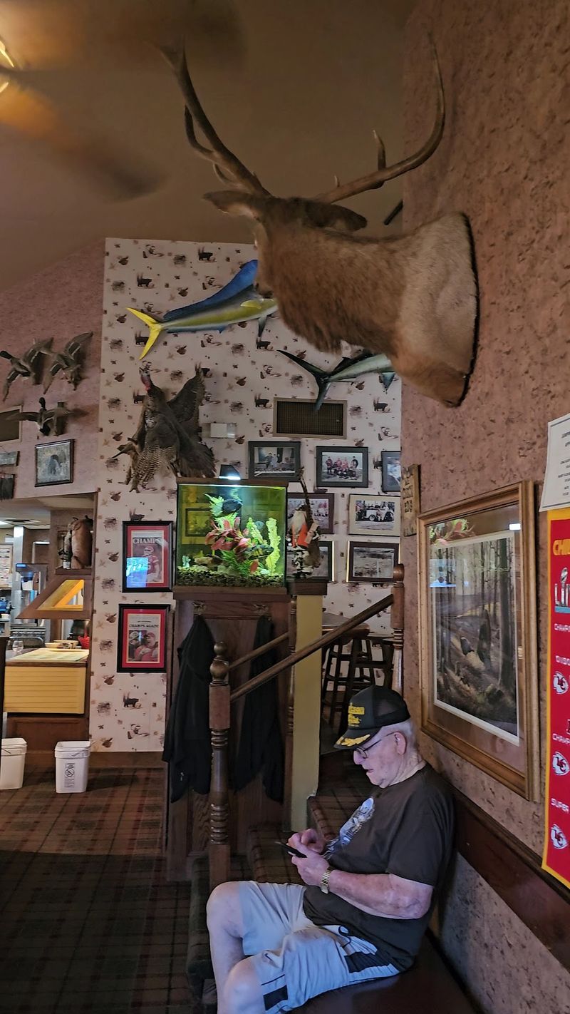 Taxidermy Covers Nearly Every Inch Of Wall Space
