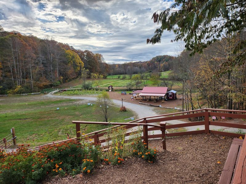 The Ellijay Farm Sits A Few Miles West Of Town