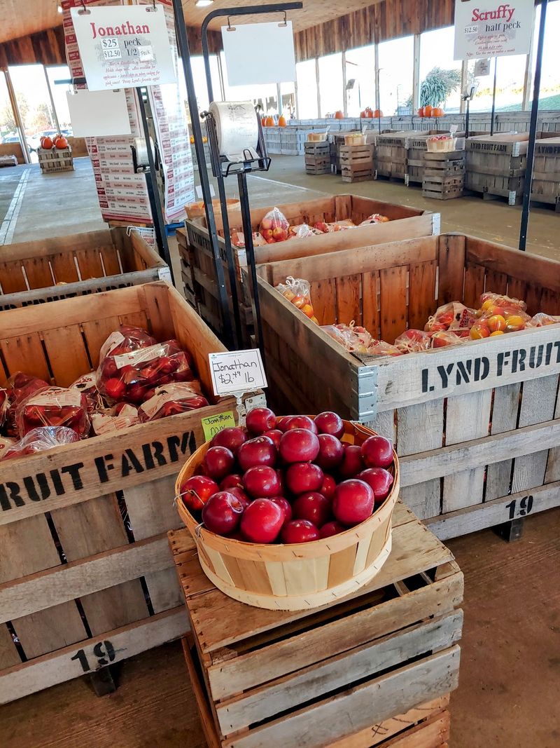 More Than 25 Apple Varieties Waiting On The Branches