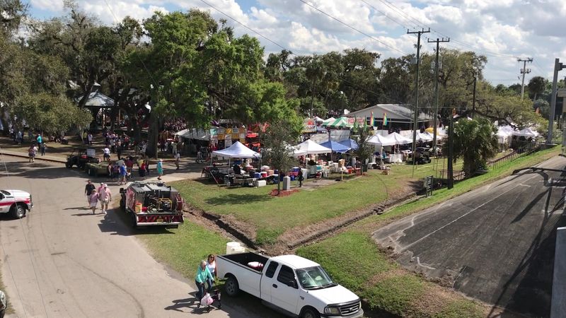 Racing Armadillos for a Good Cause
