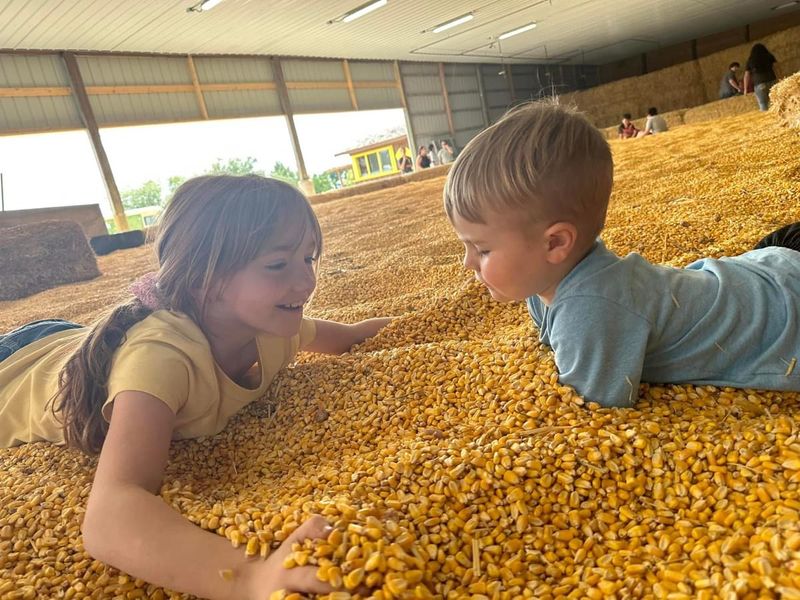 The Corn Pool Nobody Warns You About