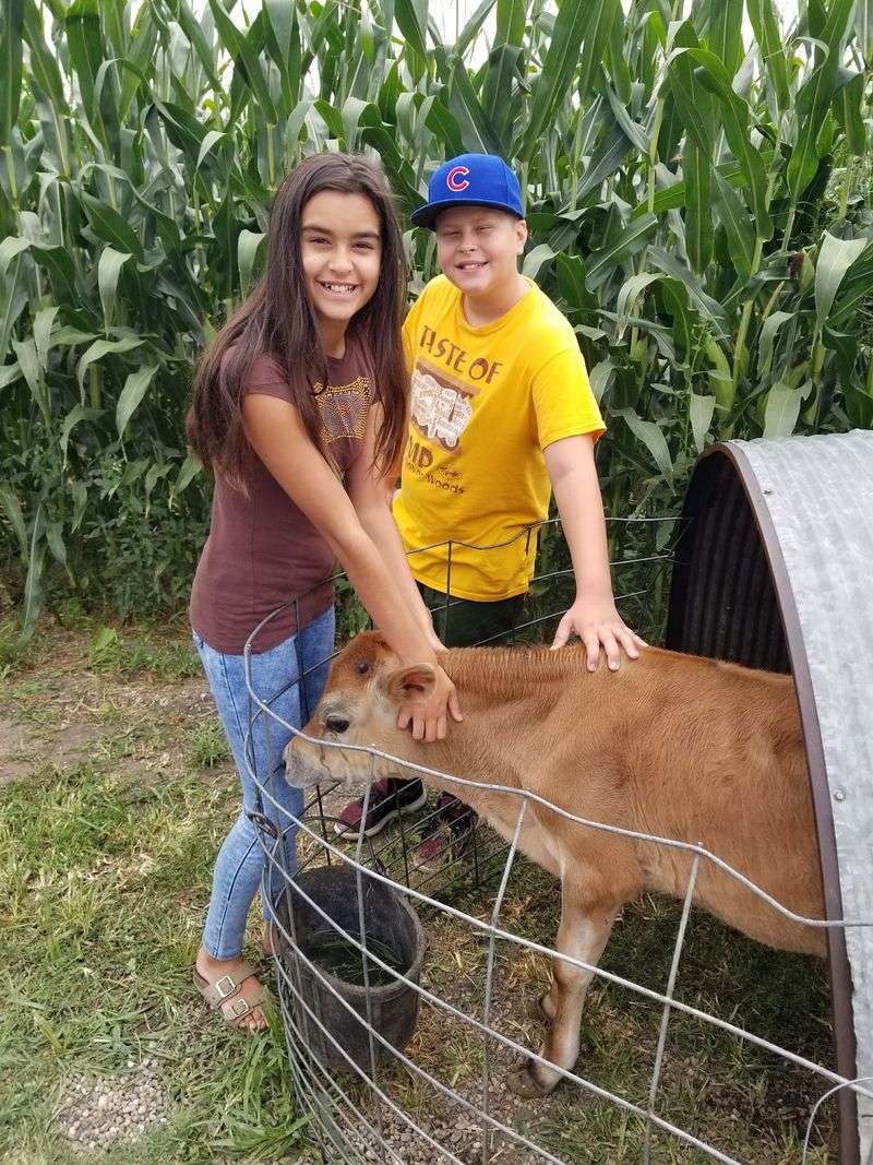 Bringing Kids Along For The Farm Experience
