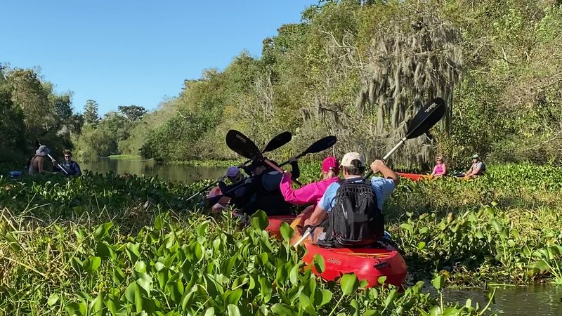 Pack For Sun And Mosquitoes