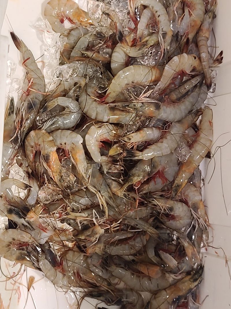 Respect The Seafood Clock
