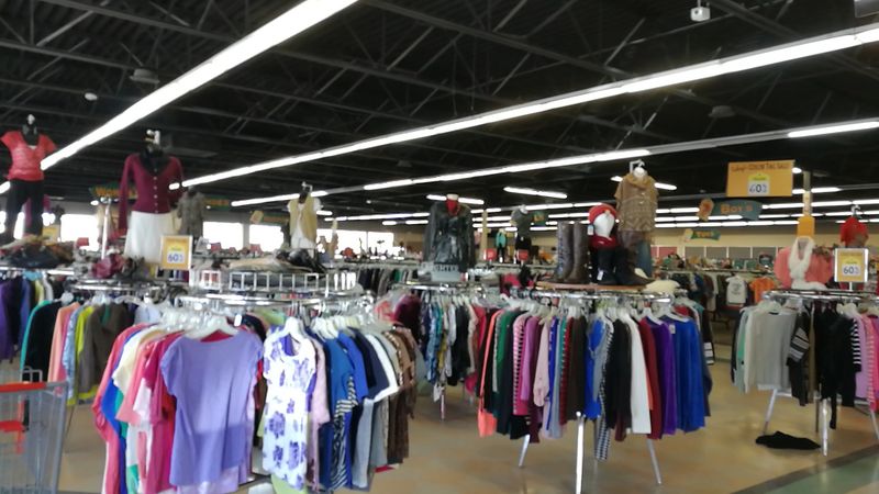Weekly Color Tag Sales That Sweeten the Hunt