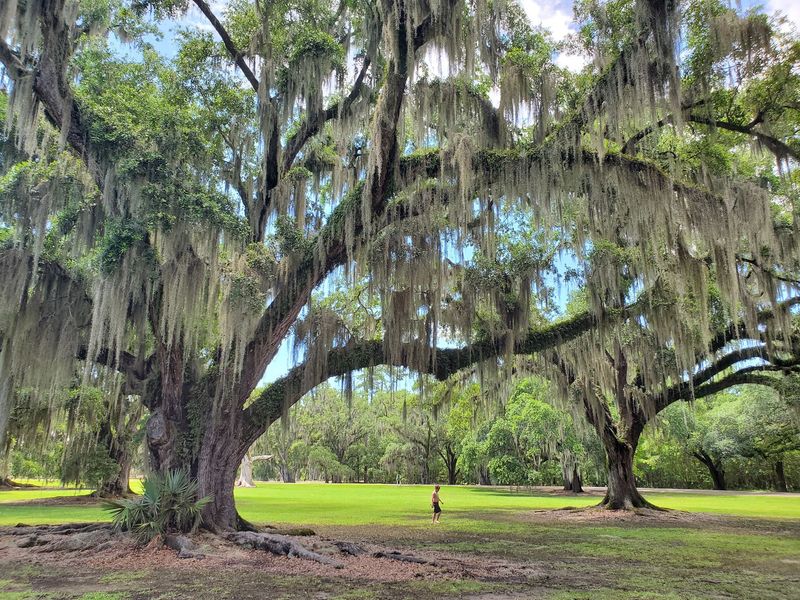 Fontainebleau State Park, Mandeville