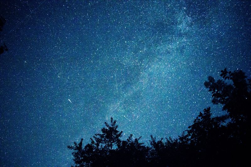 Dark Skies Become The Main Event