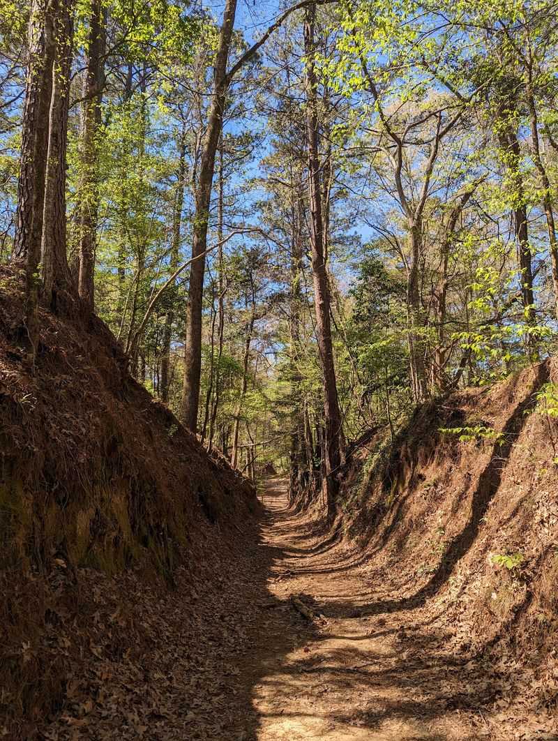Where To Find This Hidden Louisiana Gem