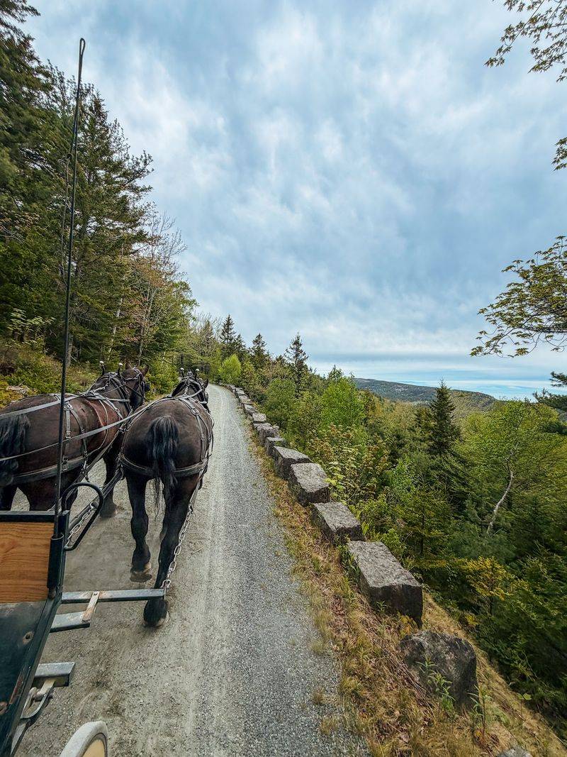 Horse-Drawn Carriages Still Leave From Wildwood Stables