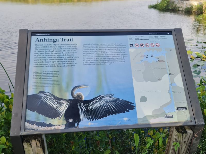 Anhinga Trail