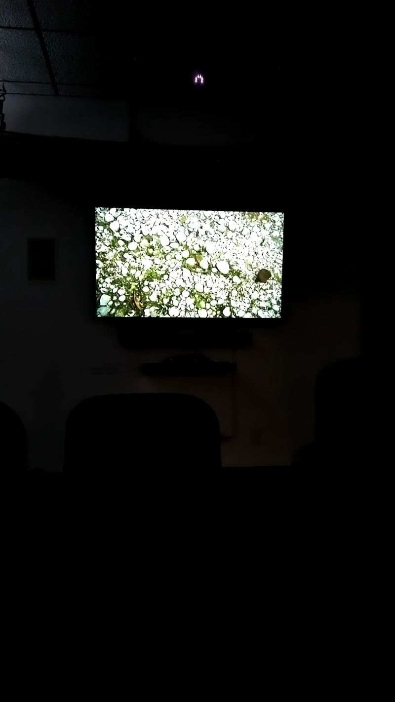 An Orientation Film Worth Watching