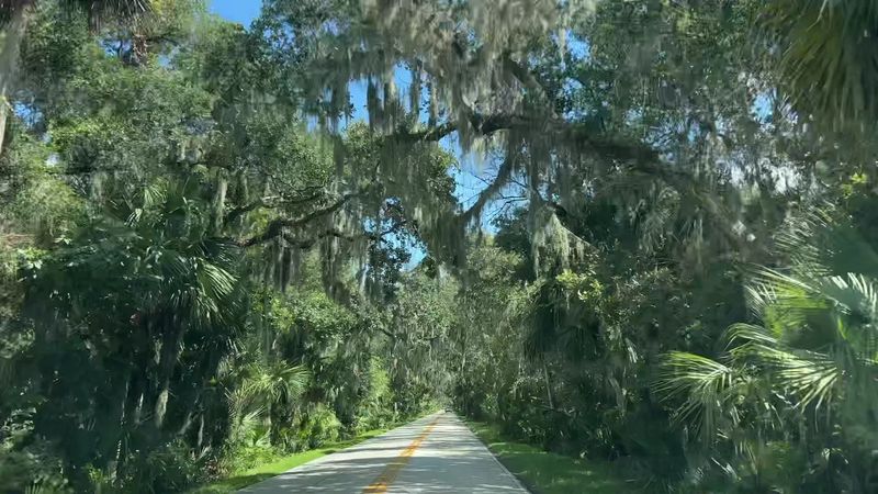 Ormond Scenic Loop & Trail