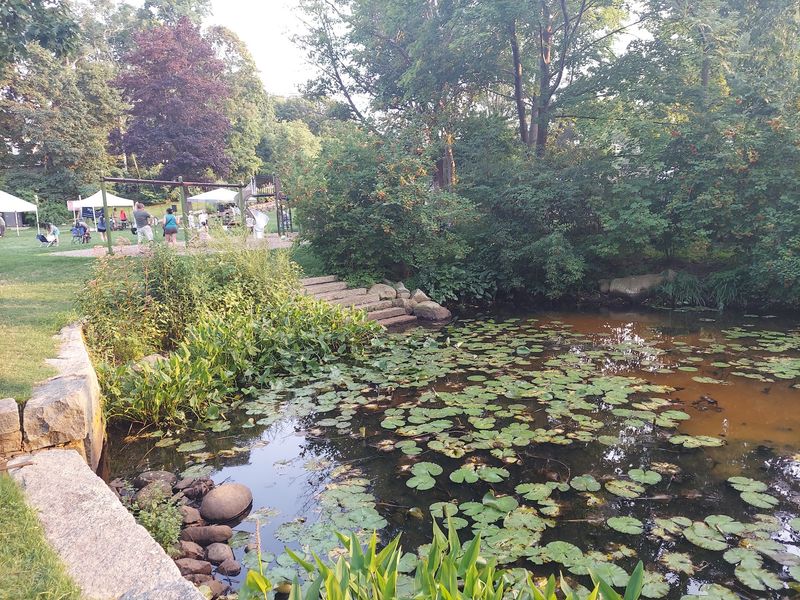 Downtown Makes It Easy To Mix Leaves With The Waterfront