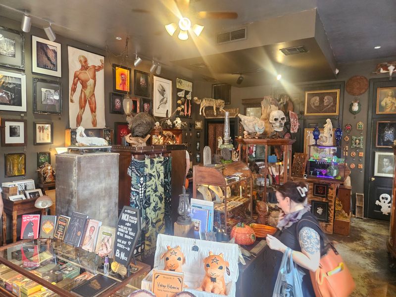 Books, Cards, And Tarot Decks