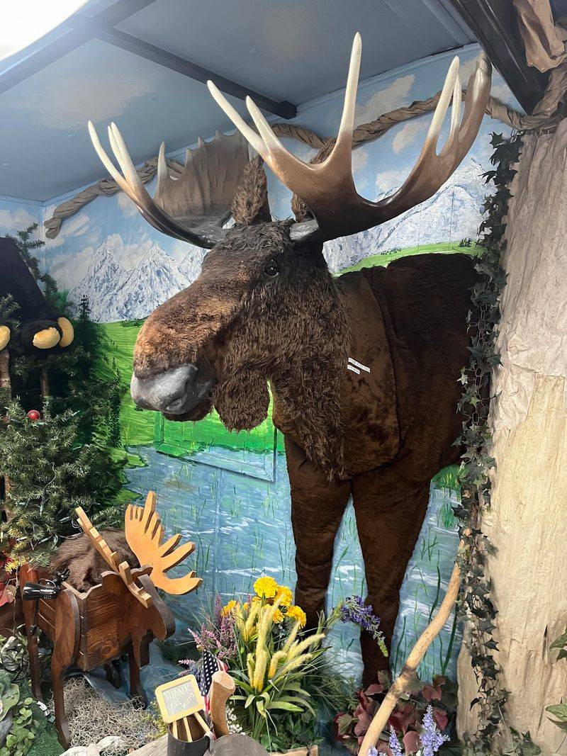 Morris The Talking Moose Keeps The Stop Playful