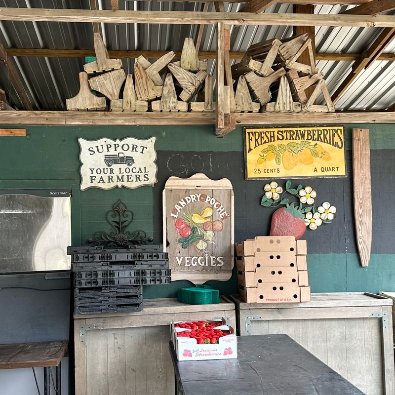 A Strawberry Legacy At Landry-Poche Farm