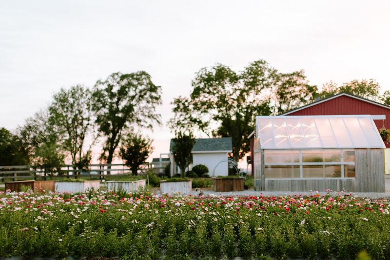 Rose Farm, Norwalk