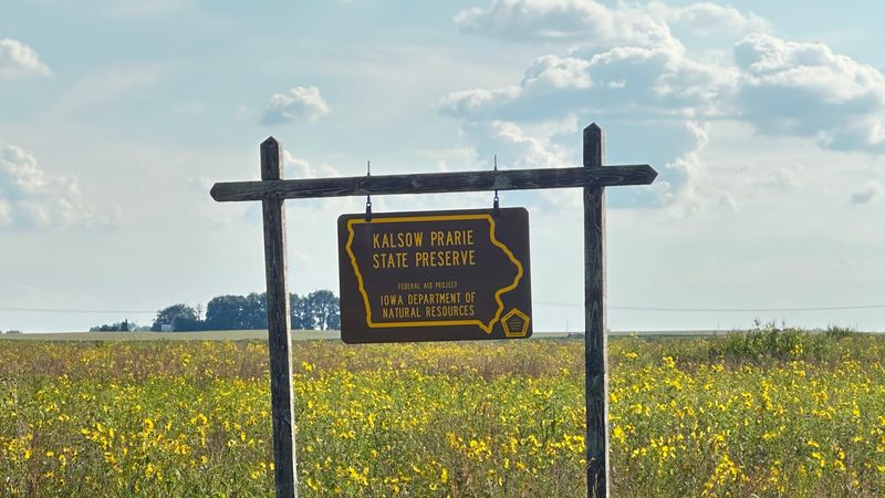 Kalsow Prairie State Preserve, Manson