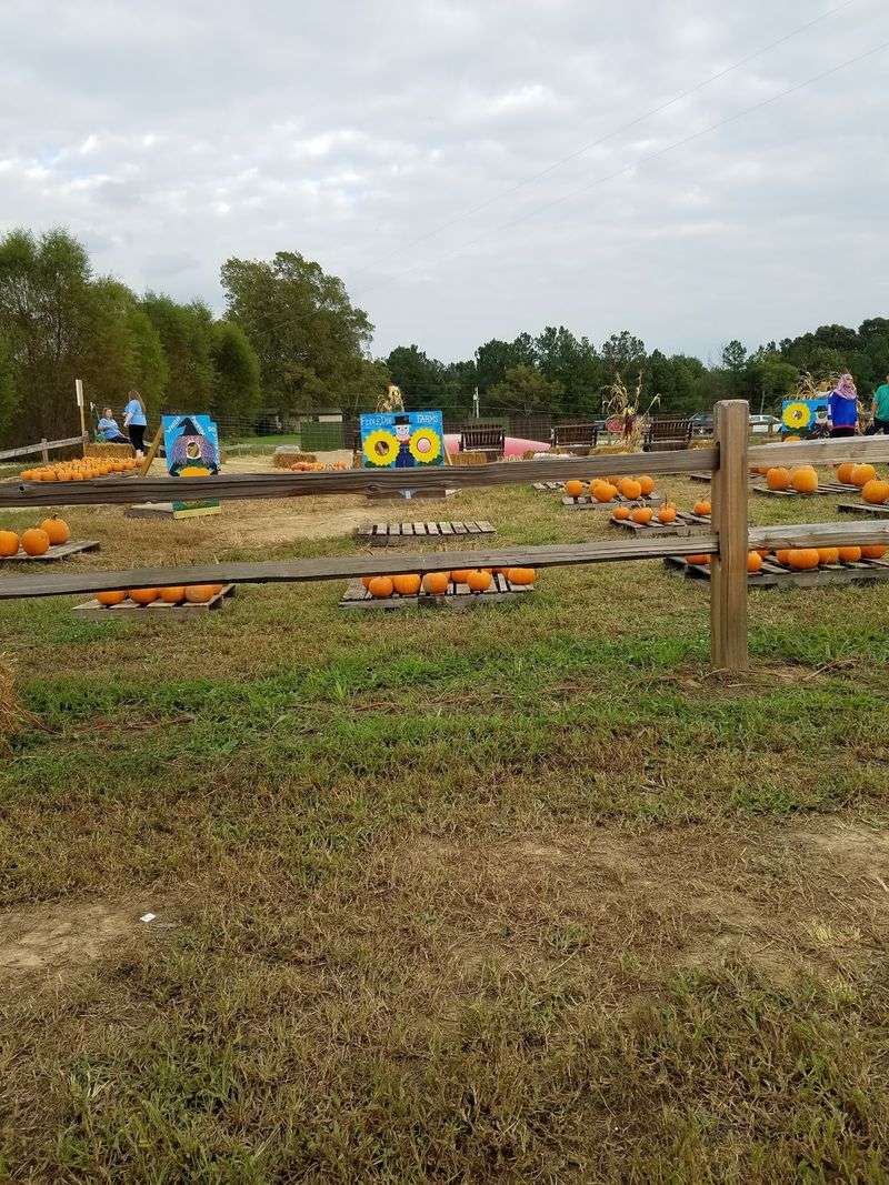 DinoLand And Magic Shows Change The Usual Pumpkin-Patch Formula