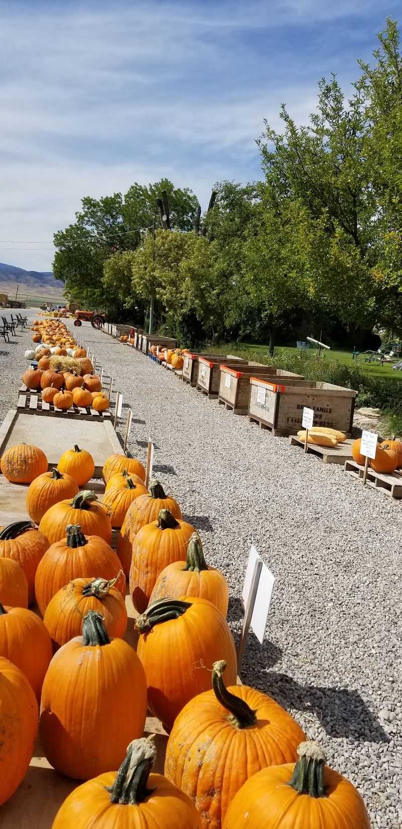 Beck Family Farms, Centerfield, UT