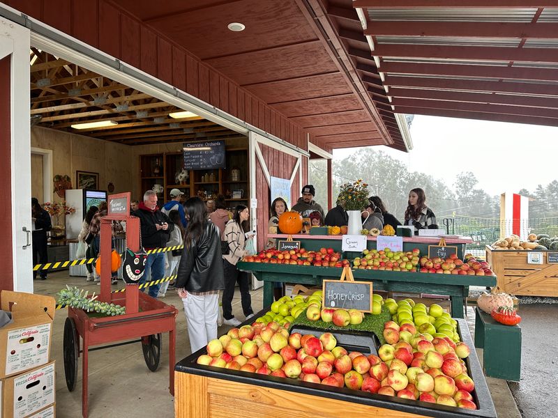 Clearview Orchards, Watsonville, CA