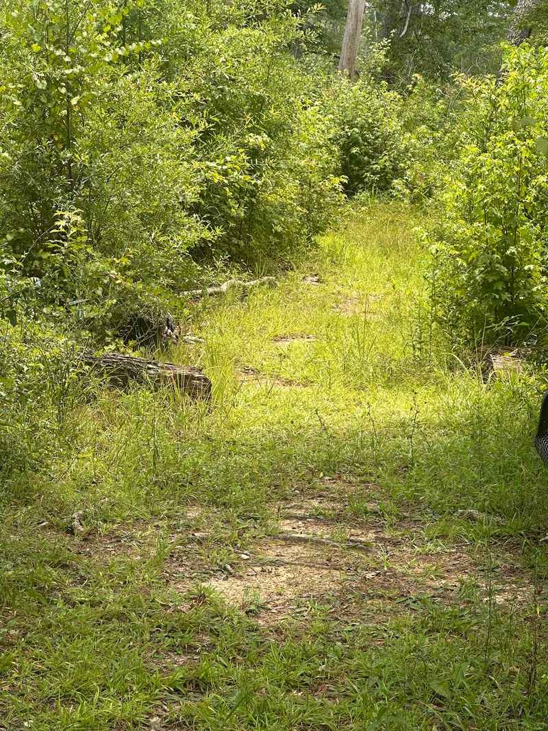 Walk The Trail Slowly