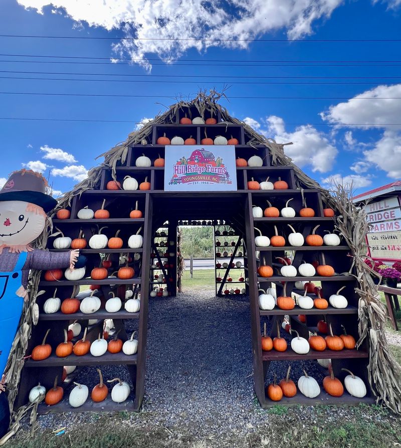 The Fall Pumpkin Festival Makes One Ticket Go A Long Way