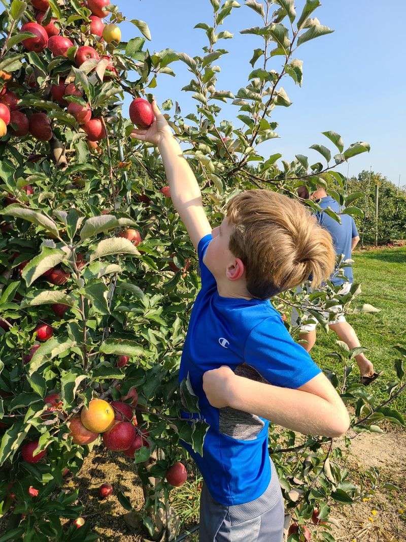 Bauman Orchards Inc
