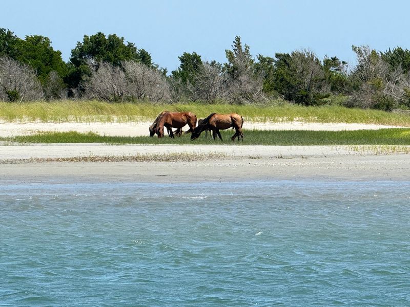 Taylor Creek Opens The View Toward The Rachel Carson Reserve