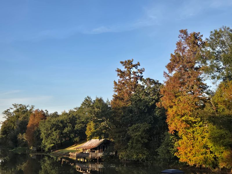 Walk Beside Bayou Lafourche
