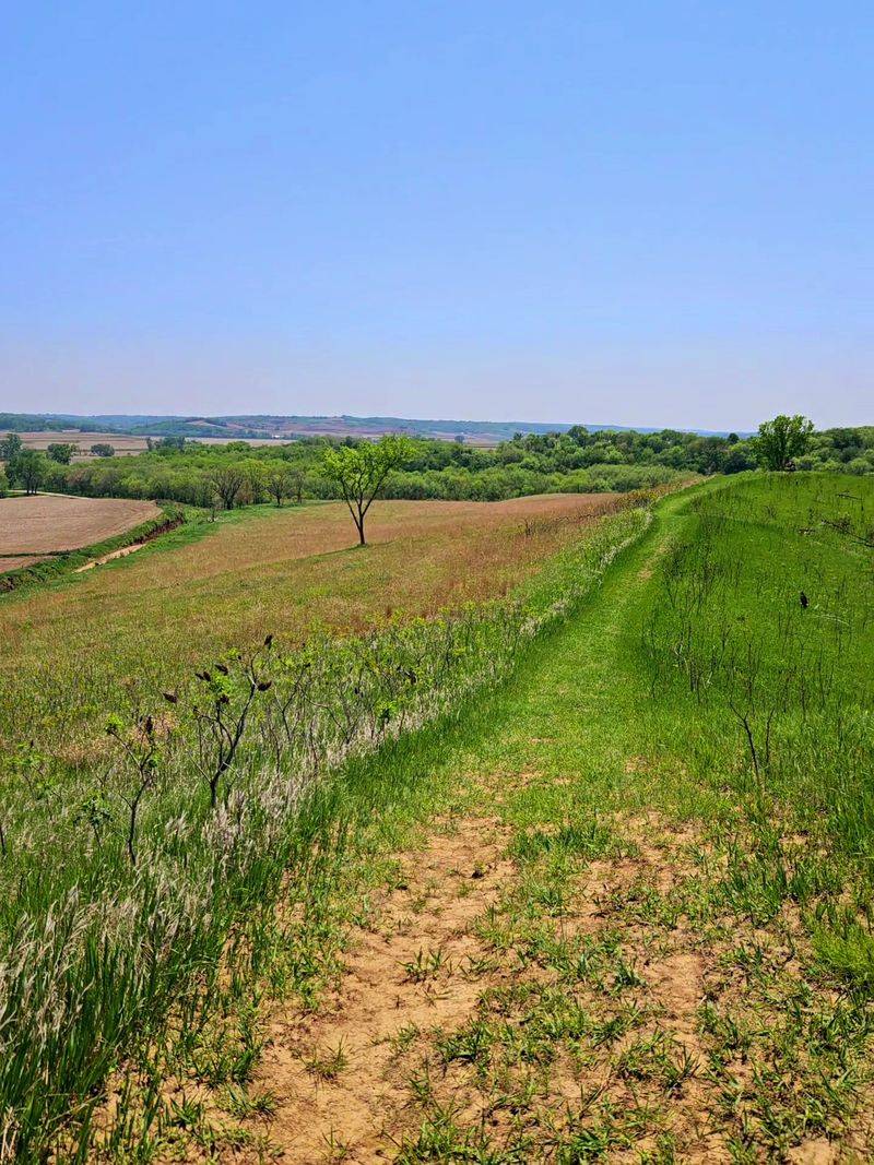 Preparation Canyon State Park, Moorhead