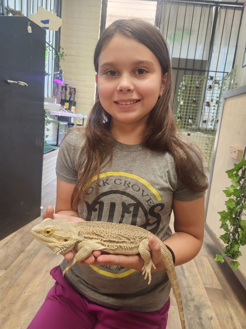 Lizards, Geckos, And The Ones With Personality