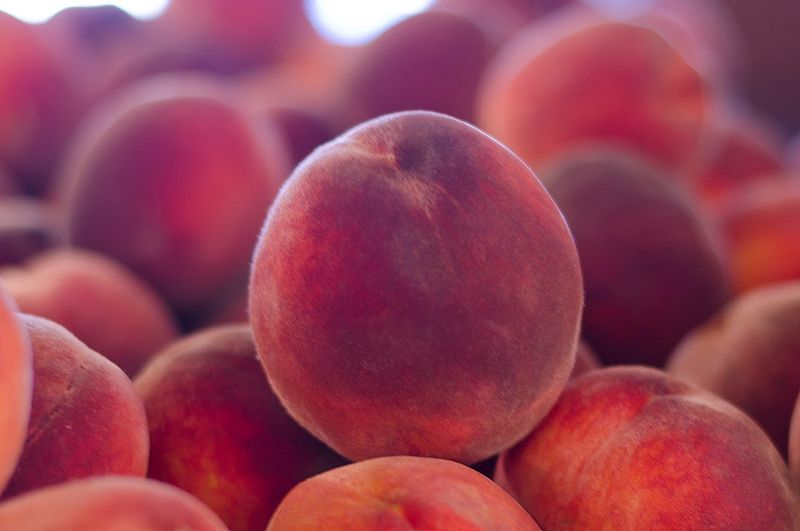 A 250-Acre Family Farm Keeps The Market Connected To What It Sells