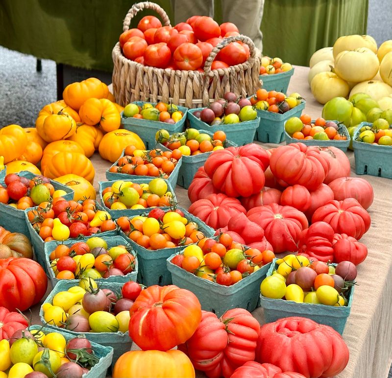 Ashland Saturday Market